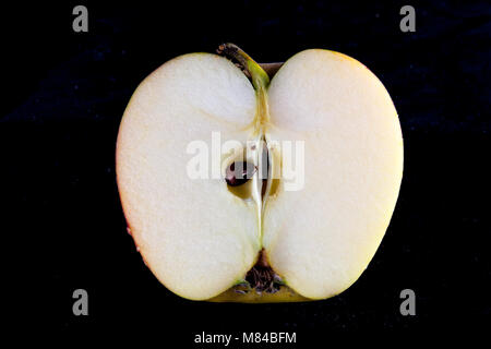 Antico tedesco Apple Cultivar Goldparmäne Foto Stock