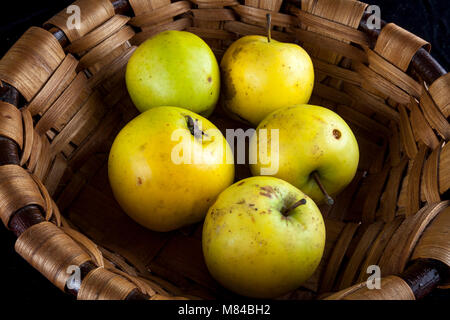 Antico tedesco Apple Cultivar Ernst Bosch Foto Stock