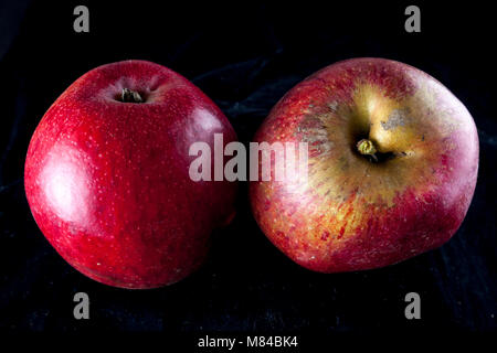 Antico tedesco Apple Cultivar Rheinischer Krummstil Foto Stock