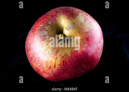 Antico tedesco Apple Cultivar Rheinischer Krummstil Foto Stock