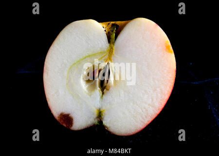 Antico tedesco Apple Cultivar Rheinischer Krummstil Foto Stock