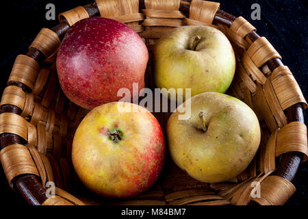 Antico tedesco Apple Cultivar Boskop Foto Stock