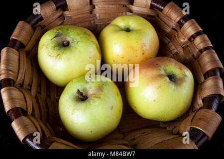 Antico tedesco Apple Cultivar Rheinlandapfel Schicks Foto Stock