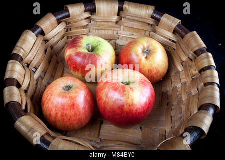 Antico tedesco Apple Cultivar Rheinisches Seidenhemdchen Foto Stock