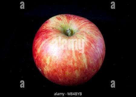 Antico tedesco Apple Cultivar Rheinisches Seidenhemdchen Foto Stock