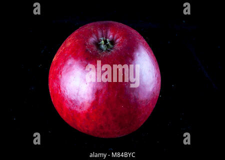 Antico tedesco Apple Cultivar Rheinisches Seidenhemdchen Foto Stock