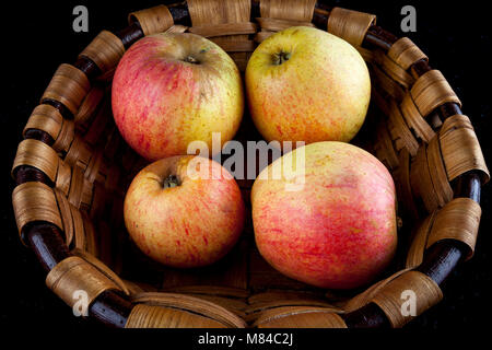 Antico tedesco Apple Cultivar Großer Rheinischer Bohnapfel Foto Stock