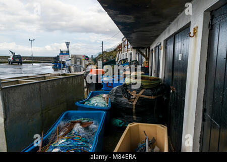 Editoriale: loghi. Mevagissey Harbour, Cornwall, Regno Unito 04/03/2018. Tempesta Emma lascia una scia di distruzione di porto esterno a Mevagissey in Cornovaglia Foto Stock