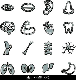 Anatomia umana le icone di Freehand 2 colori Illustrazione Vettoriale