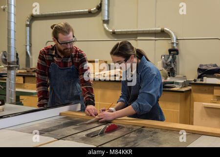 Maschio e femmina di falegnami che lavorano insieme Foto Stock