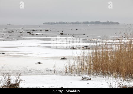 Inverno sulla riva di un lago ghiacciato Foto Stock