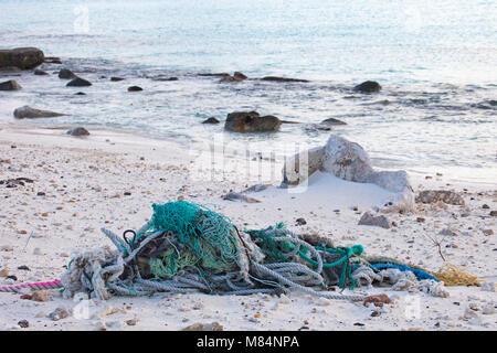 Funi e reti raccolti lungo la costa del Pacifico del nord Isola dai turisti per un corretto smaltimento di prevenire danni alla fauna marina Foto Stock