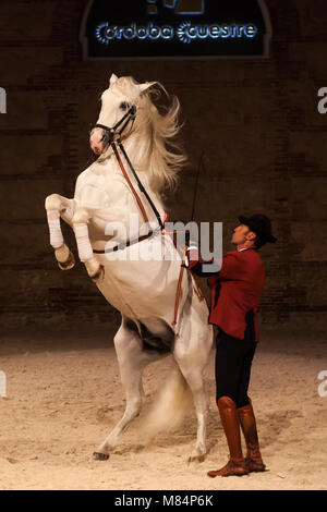 Spettacolo equestre scuderie reali cordoba Foto Stock