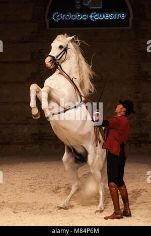 Spettacolo equestre scuderie reali cordoba Foto Stock