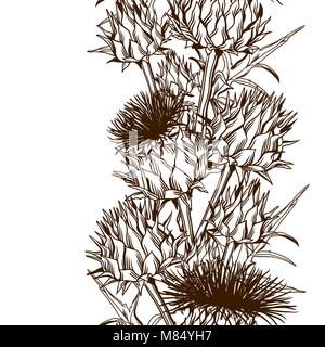 Modello senza cuciture con onopordum acanthium. Scottish thistle Illustrazione Vettoriale