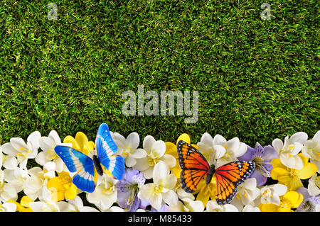 Primavera o estate sfondo di confine con fiori, erba e farfalle. Spazio per la copia. Foto Stock