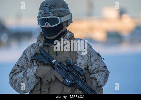 Marines assegnati al 3° Battaglione. 8° Reggimento Marine. Camp Lejeune, N.C., attendono il trasporto da una coppia di CH-47 elicotteri Chinook assegnato al primo battaglione, 52nd reggimento di aviazione, Fort Wainwright, Alaska Marzo 12, 2018 come parte della forza congiunta terra comando di componente a sostegno dell'esercizio Arctic Edge 18. Come JFLCC per l'esercizio, U.S. Esercito Alaska è la sede responsabile per il comando e il controllo di tutte le su base a terra le forze che partecipano all'esercizio. Arctic Edge 2018 è una biennale, su larga scala e la formazione congiunta di esercizio che prepara i test e i militari statunitensi di ABI Foto Stock