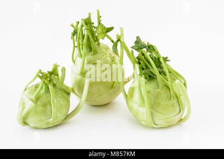 Il cavolo rapa o knol khol (Brassica oleracea) su uno sfondo bianco Foto Stock