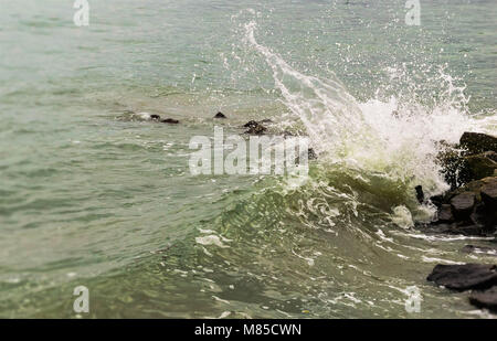 Santos, san Paolo, Brasile Foto Stock
