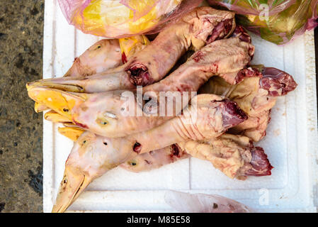 Teste di oche per la vendita in un mercato all'aperto in Hoi An, Vietnam Foto Stock