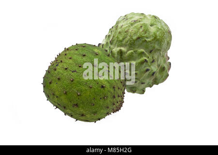 Soursop organico e anone frutti centrato e isolato su sfondo bianco Foto Stock