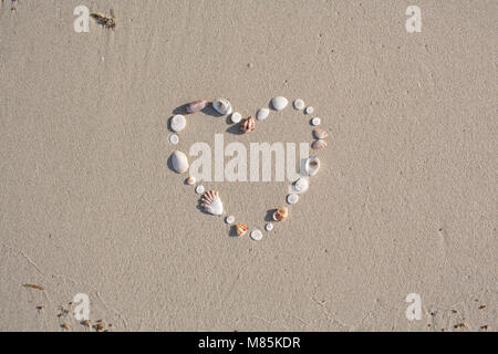 A forma di cuore da gusci si trova su una spiaggia di sabbia su Koh Samui Foto Stock