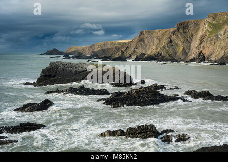 Costa rocciosa Foto Stock