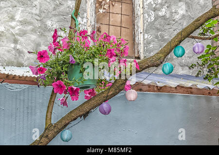 Un vaso di fiori riempito di fiori appesi ad un ramo di un albero Foto Stock