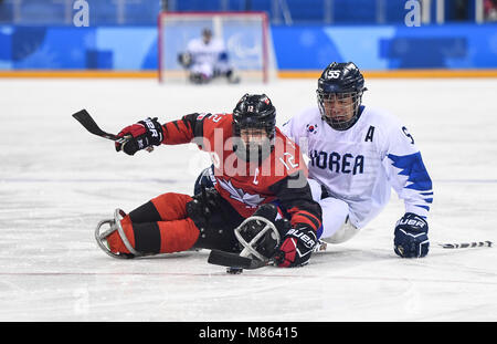 Gangneung, Corea del Sud. Xv Mar, 2018. Greg Westlake (L) del Canada il sistema VIES con Jang Jong Ho di Corea del Sud durante l'hockey su ghiaccio mescolato i play-off semifinale tra la Corea del Sud e il Canada al 2018 PyeongChang i Giochi Paraolimpici Invernali in Gangneung Hockey Center, Gangneung, Corea del Sud, 15 marzo 2018. Il Canada ha vinto 7-0. Credito: Xia Yifang/Xinhua/Alamy Live News Foto Stock