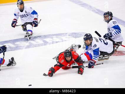 Gangneung, Corea del Sud. Xv Mar, 2018. Canada's Tyler Mcgregor (anteriore) compete durante l'hockey su ghiaccio mescolato i play-off semifinale tra la Corea del Sud e il Canada al 2018 PyeongChang i Giochi Paraolimpici Invernali in Gangneung Hockey Center, Gangneung, Corea del Sud, 15 marzo 2018. Il Canada ha vinto 7-0. Credito: Wang Jingqiang/Xinhua/Alamy Live News Foto Stock