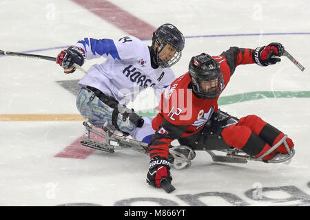 Gangneung, GANGWON, Corea del Sud. Xv Mar, 2018. Marzo 15, 2018-Gangneung, Sud Corea Korea-South di Hockey e Canada di Hockey azione sul ghiaccio durante un 2018 Paralimpici invernali di Hockey su Ghiaccio Play-Off misti semifinali a Gangneung Hockey Center in Gangneung, Corea del Sud. Partita vinta in Canada, Punteggio da 7-0. Credito: Gmc/ZUMA filo/Alamy Live News Foto Stock