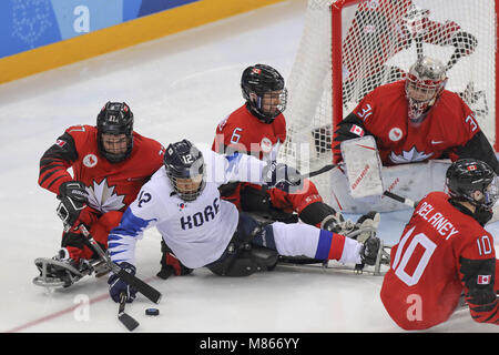 Gangneung, GANGWON, Corea del Sud. Xv Mar, 2018. Marzo 15, 2018-Gangneung, Sud Corea Korea-South di Hockey e Canada di Hockey azione sul ghiaccio durante un 2018 Paralimpici invernali di Hockey su Ghiaccio Play-Off misti semifinali a Gangneung Hockey Center in Gangneung, Corea del Sud. Partita vinta in Canada, Punteggio da 7-0. Credito: Gmc/ZUMA filo/Alamy Live News Foto Stock