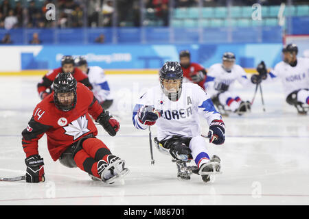 Gangneung, GANGWON, Corea del Sud. Xv Mar, 2018. Marzo 15, 2018-Gangneung, Sud Corea Korea-South di Hockey e Canada di Hockey azione sul ghiaccio durante un 2018 Paralimpici invernali di Hockey su Ghiaccio Play-Off misti semifinali a Gangneung Hockey Center in Gangneung, Corea del Sud. Partita vinta in Canada, Punteggio da 7-0. Credito: Gmc/ZUMA filo/Alamy Live News Foto Stock