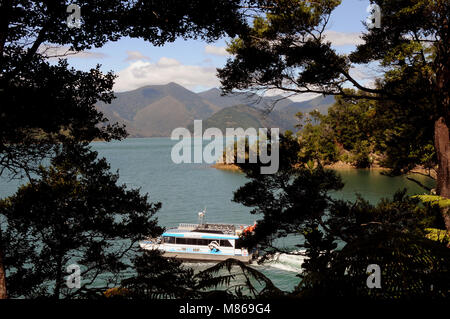 Il Pelorus Mailboat, oficially parte della Nuova Zelanda Post mail run, tiene e-mail, forniture e ai passeggeri di parti remote del Marlborough Suono. Foto Stock