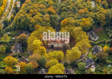 Vista aerea, una tangibile cuore incorniciato la scuola di musica Gladbeck, autunno, foglie di autunno, Golden ottobre, estate indiana, Gladbeck, la zona della Ruhr, Renania del Nord Foto Stock