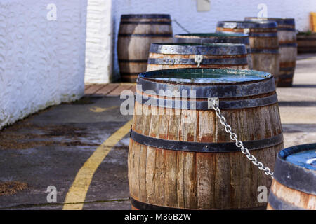 Distilleria di Whisky Tour marciapiede Foto Stock