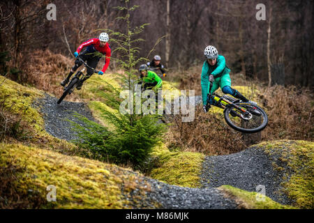 Un gruppo di appassionati di mountain bike cavalcare un sentiero a Coed-y-Brenin nel Parco Nazionale di Snowdonia. Foto Stock