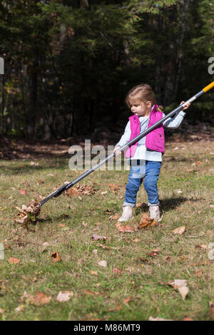 Il Toddler girl learning per rastrellare foglie su un freddo giorno di autunno nel Maine Foto Stock