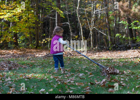 Il Toddler girl learning per rastrellare foglie su un freddo giorno di autunno nel Maine Foto Stock