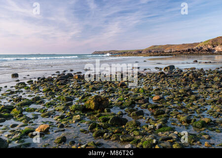 Rocce e le alghe sulla spiaggia di Porth Trwyn, Anglesey, Galles del Nord Foto Stock