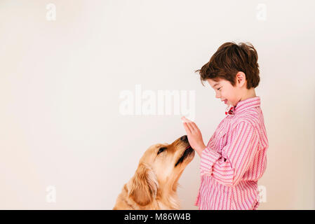 Il golden retriever cane leccare un ragazzo in mano Foto Stock