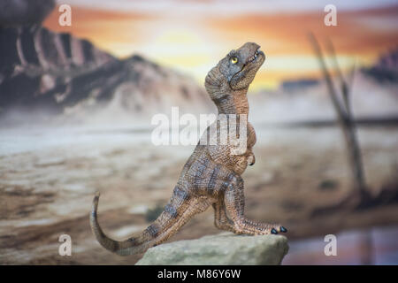 Baby Tyrannosaurus rex nel mondo giurassico Foto Stock