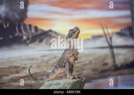 Baby Tyrannosaurus rex nel mondo giurassico Foto Stock