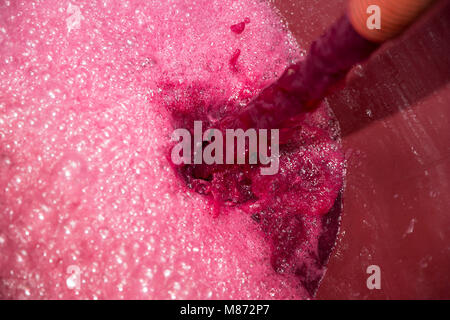 Uva rossa dal succo di uva schiacciata per il vino che viene versato in un cilindro, Toscana, Italia Foto Stock