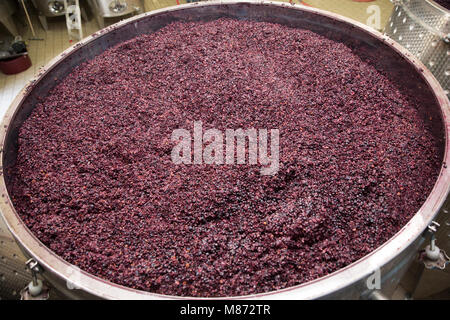Le uve rosse che sono stati schiacciati per fare il vino, Toscana, Italia Foto Stock
