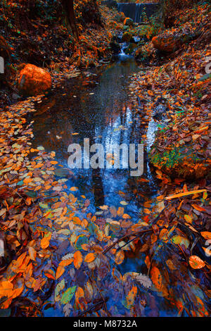 Incredibili colori dell'Autunno in Toscana, Italia. Foto Stock