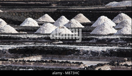 Sale marino produzione su Lanzarote, 'las Salinas de Janubio' Foto Stock