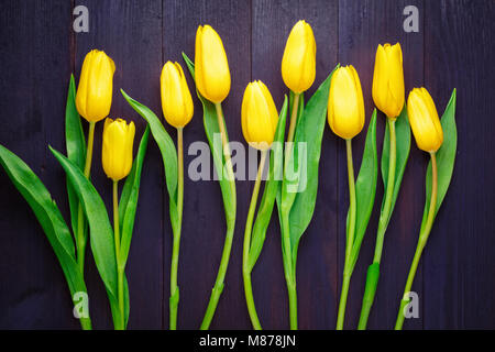 Vista dall'alto in basso di tulipani gialli su Deep Purple superficie in legno Foto Stock