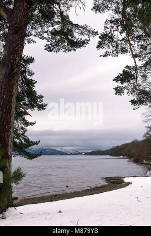 Neve fresca nelle highlands scozzesi Foto Stock