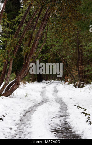 Neve fresca nelle highlands scozzesi Foto Stock